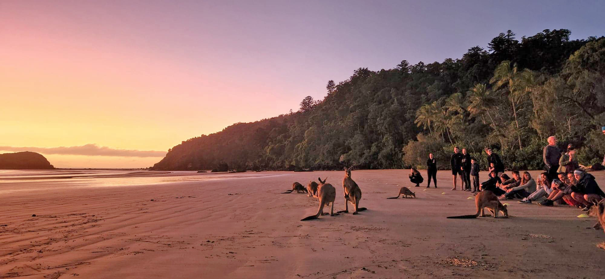 Cape Hillsborough Nature Tourist Park Changes Hands Mackay Whitsunday